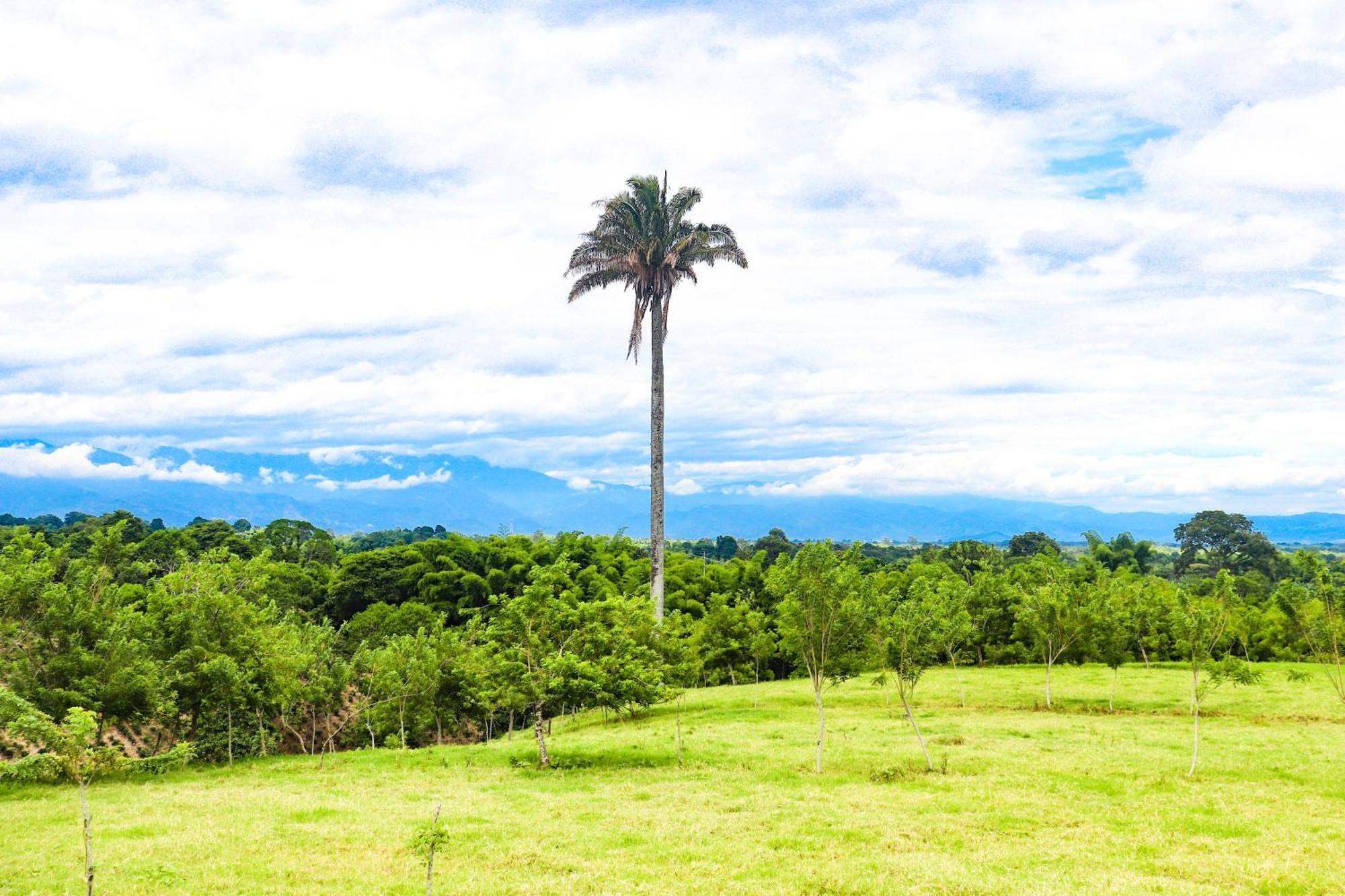 Hotel Quindio Campestre Montenegro Ngoại thất bức ảnh